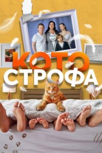 Котострофа