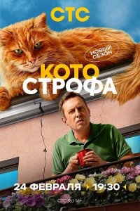 Котострофа 2